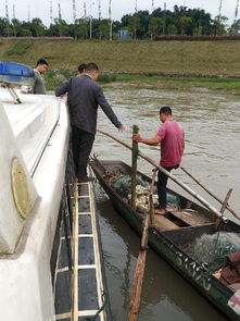 南溪區(qū)開展國慶節(jié)前漁船安全生產(chǎn)專項(xiàng)檢查，確保畜牧漁業(yè)飼料銷售與漁業(yè)生產(chǎn)安全