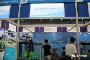 近500家水產(chǎn)產(chǎn)業(yè)鏈企業(yè)齊聚合肥漁博會(huì)，現(xiàn)場亮點(diǎn)紛呈，行業(yè)盛事引領(lǐng)產(chǎn)業(yè)新方向